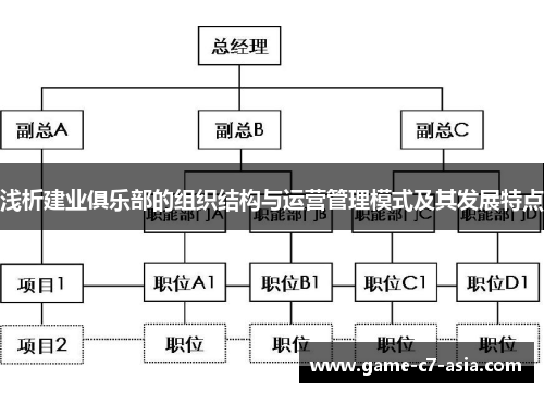 浅析建业俱乐部的组织结构与运营管理模式及其发展特点